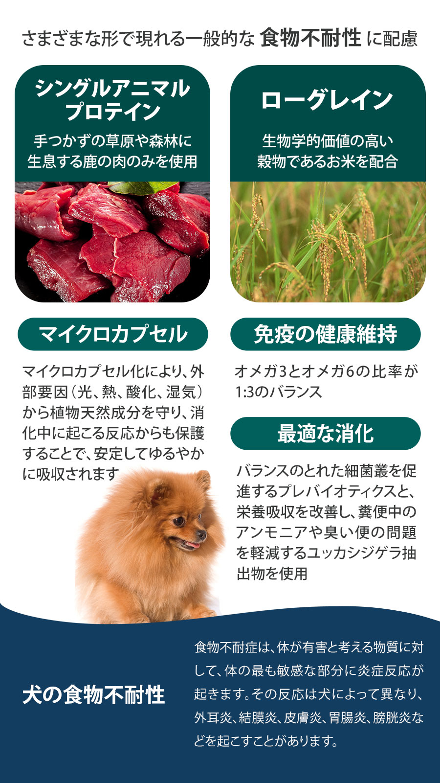 Daily Pro アダルトミニ ベニソン