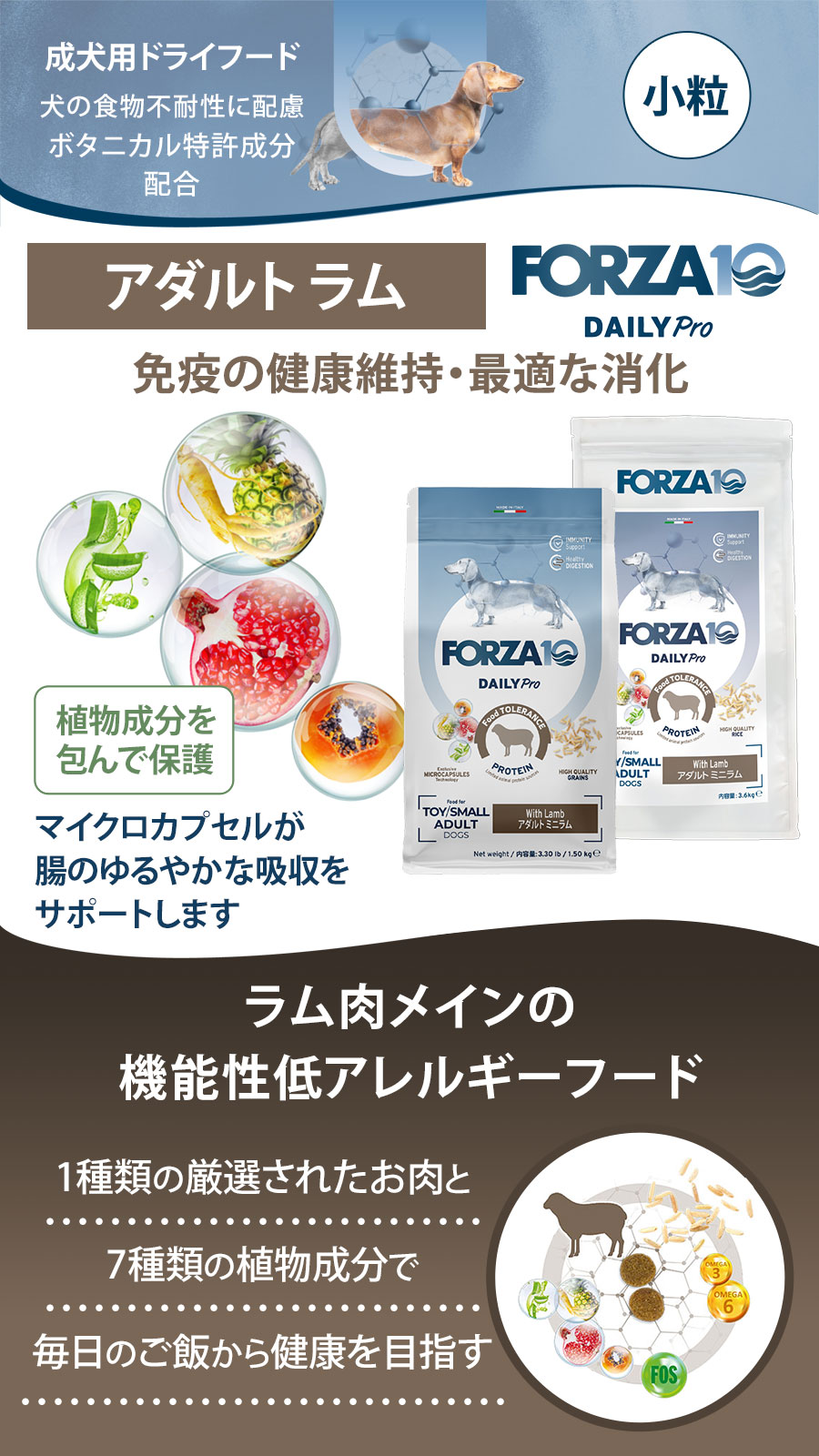 Daily Pro アダルトミニ ラム