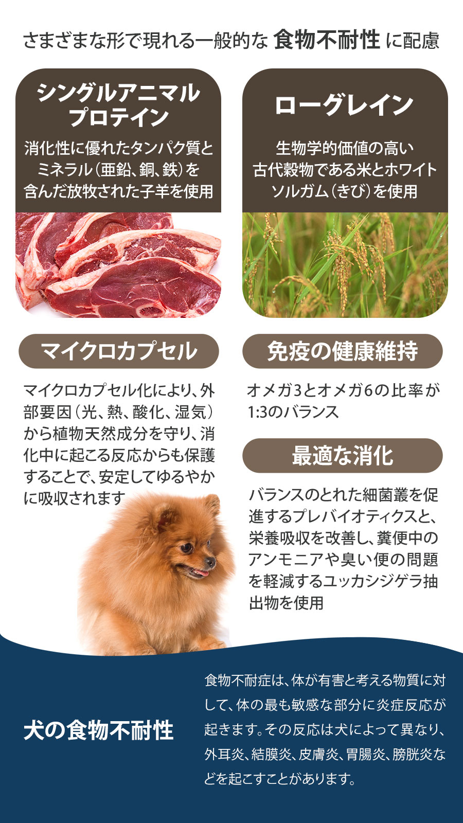 Daily Pro アダルトミニ ラム