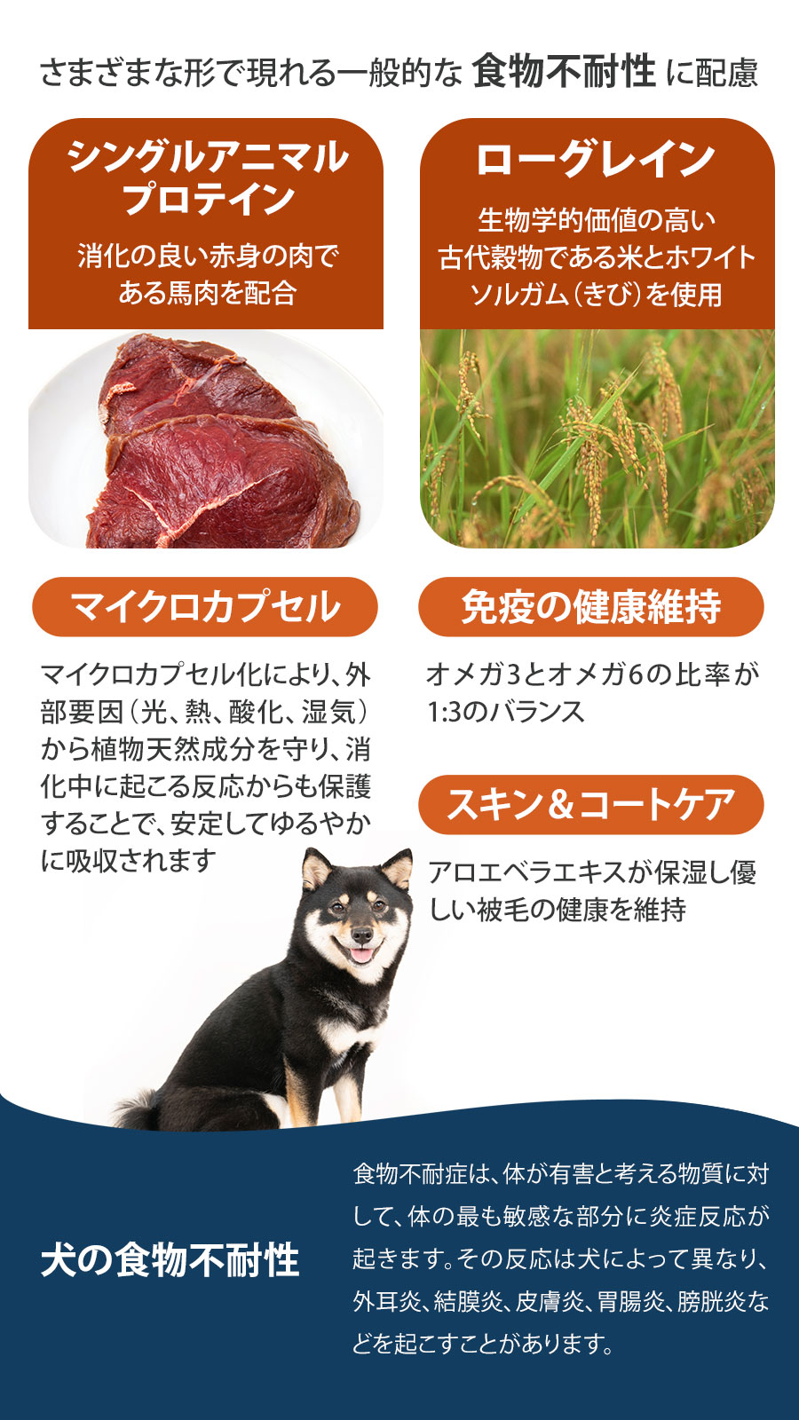 Daily Pro アダルトミニ ホース