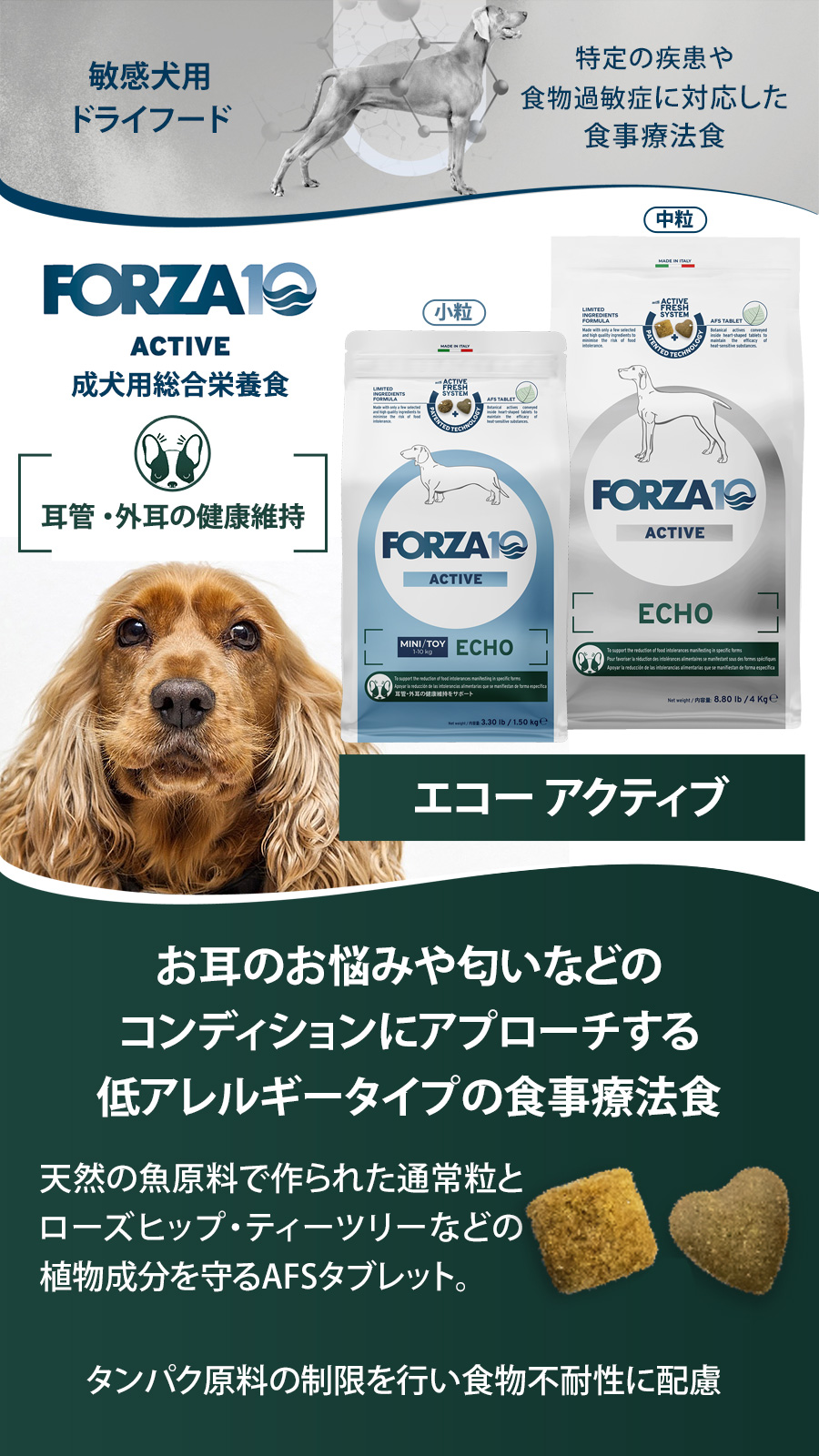 エコーアクティブ