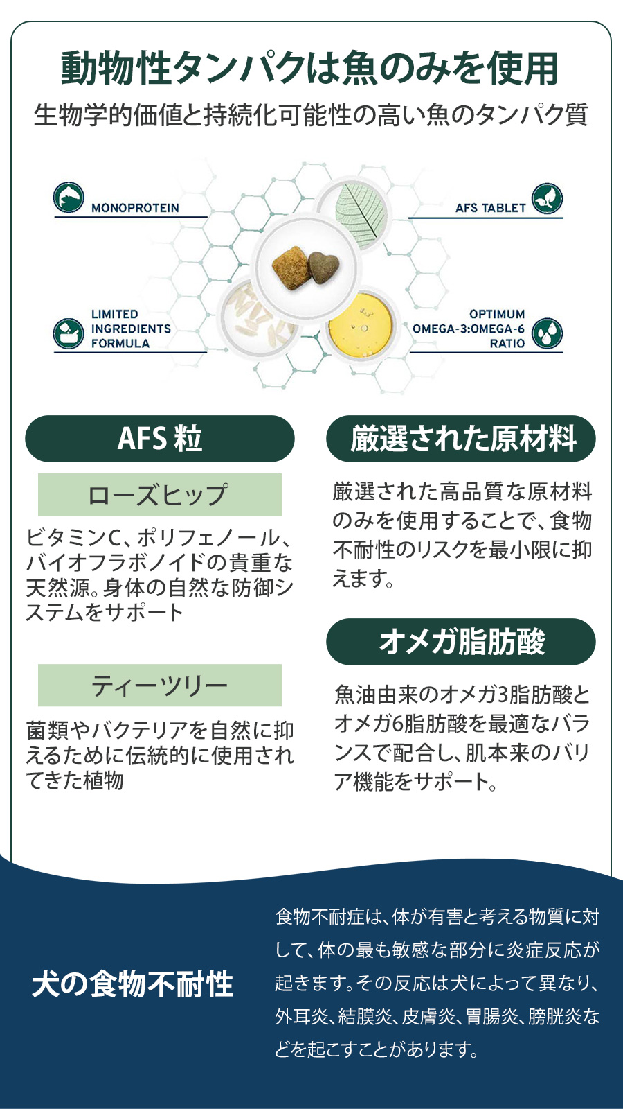 エコーアクティブ