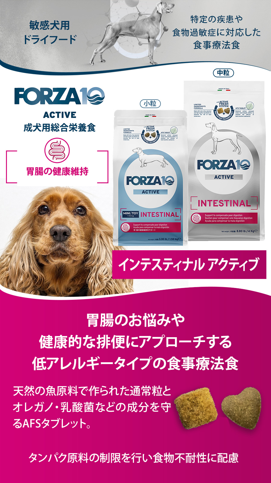 インテスティナルアクティブ