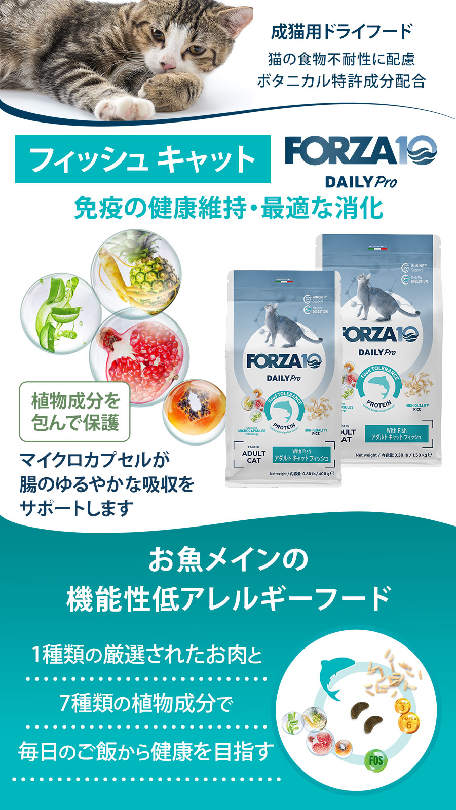 Daily Pro アダルトフィッシュ キャット