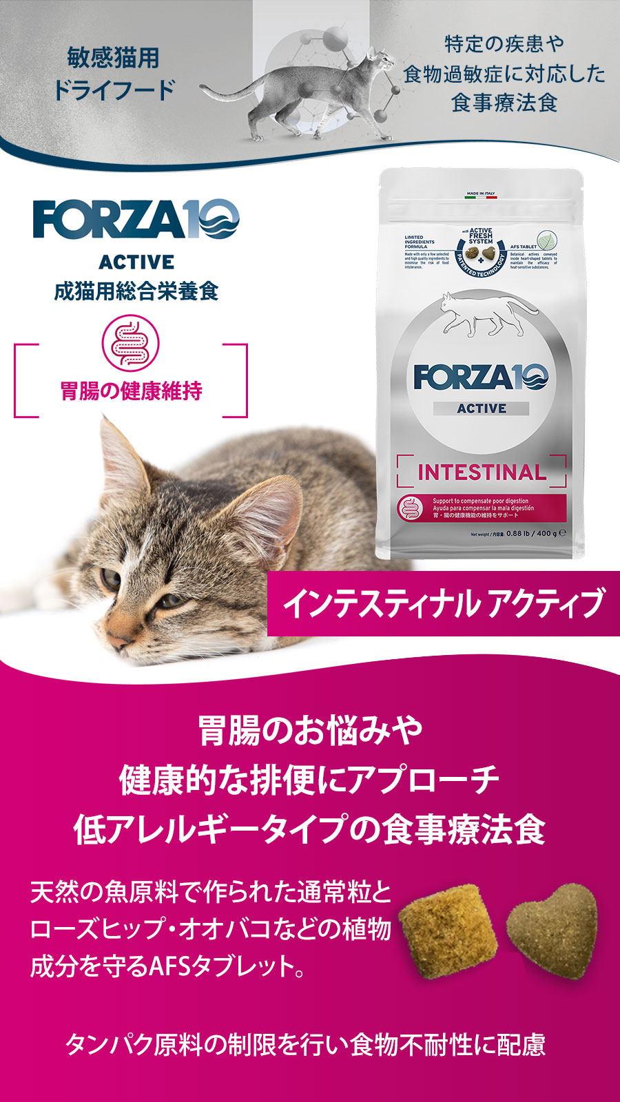 インテスティナルアクティブ