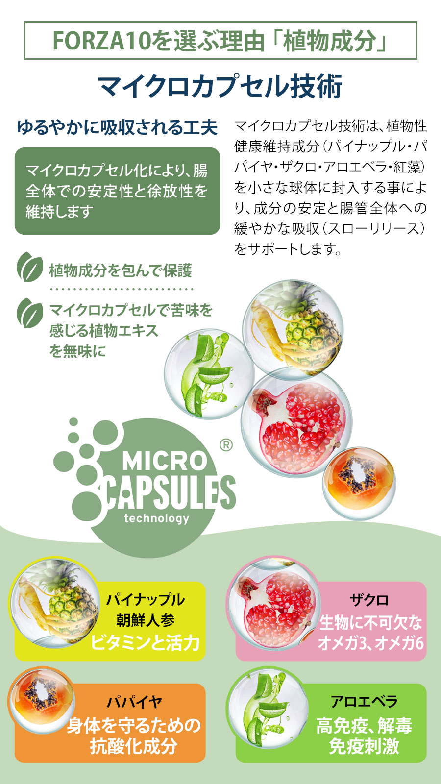 フォルツァ10MCS