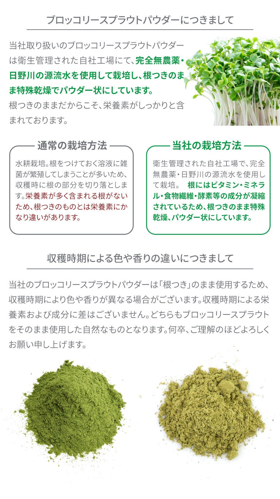 ブロッコリースプラウト