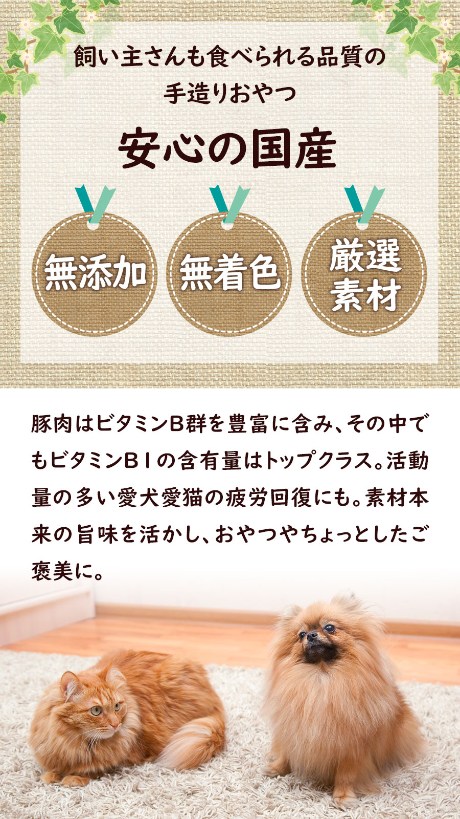 国産豚肉ジャーキー