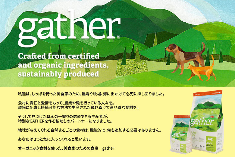 Gather ギャザーエンドレスバレー