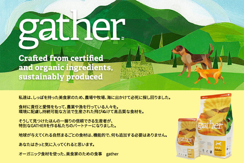 Gather ギャザーフリーエーカードッグ