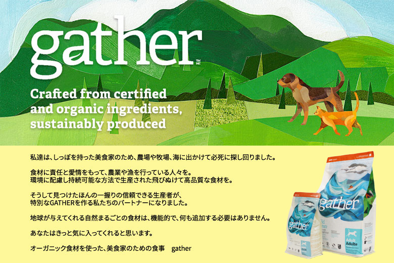 Gather ギャザーワイルドオーシャンドッグ