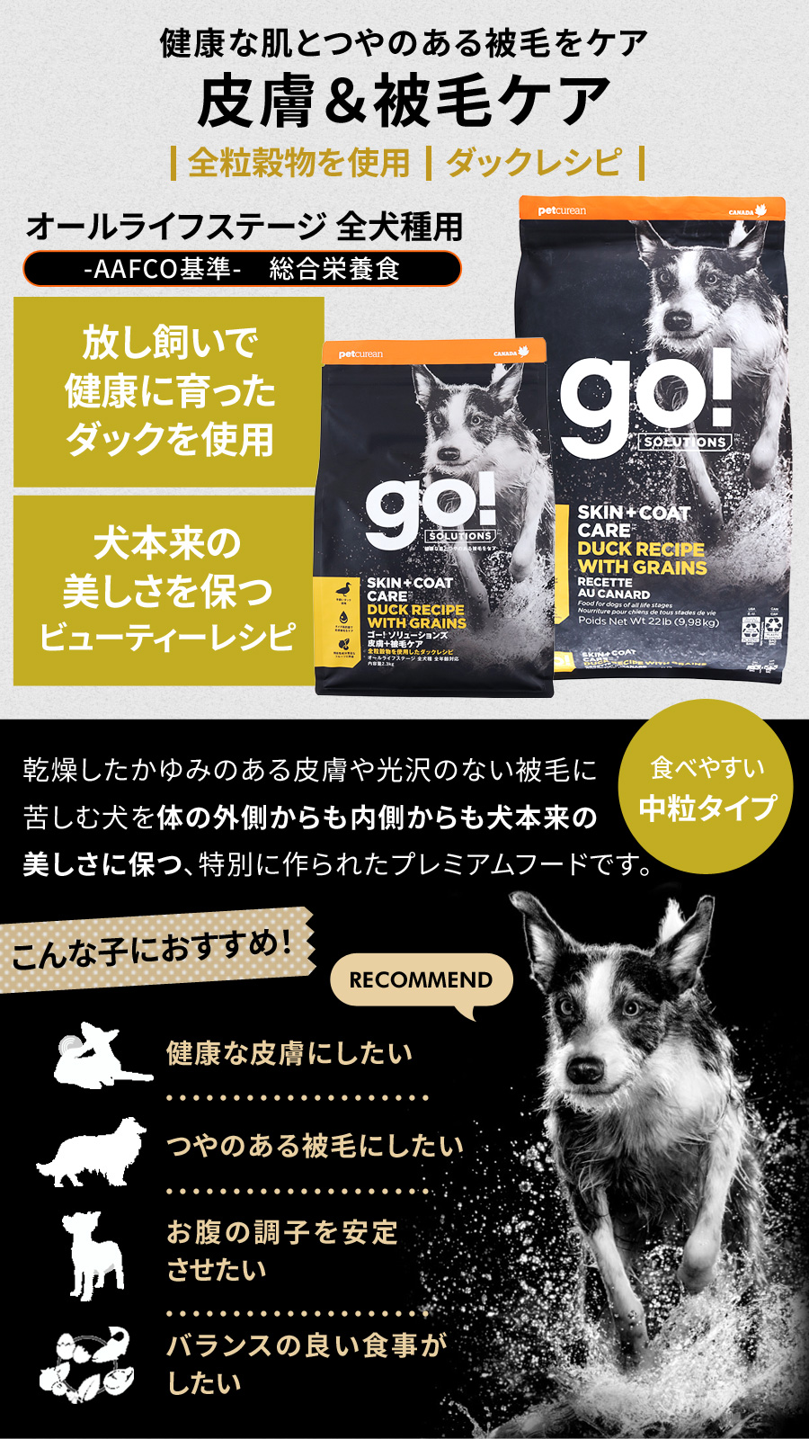 GO! ゴー ソリューションズ 皮膚+被毛ケア