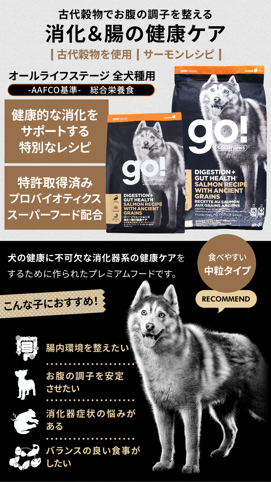 GO! ゴー ソリューションズ 消化+腸の健康ケア