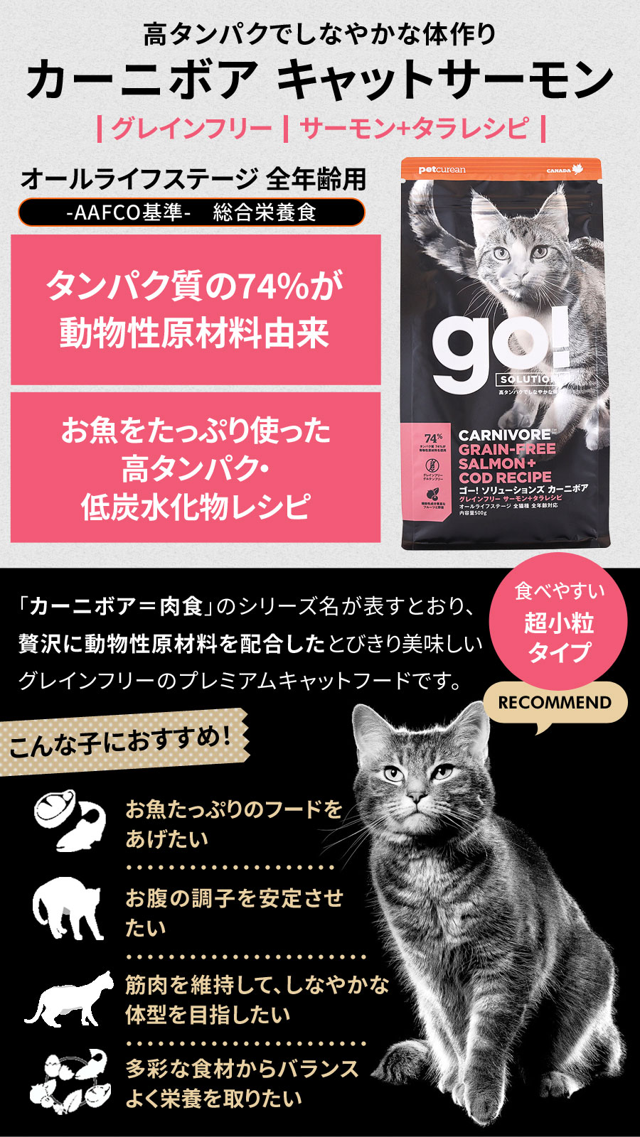 GO! ゴー ソリューションズ キャット カーニボア サーモン