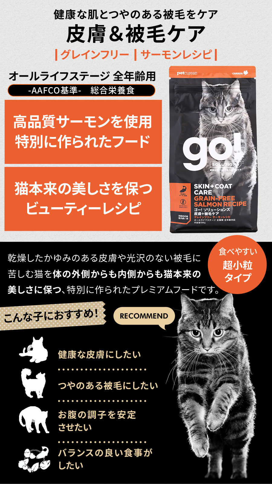 GO! ゴー ソリューションズ キャット 皮膚+被毛ケア