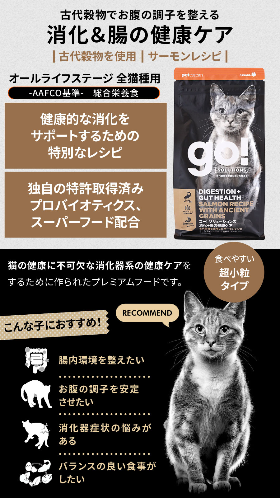 GO! ゴー ソリューションズ キャット 消化+腸の健康ケア