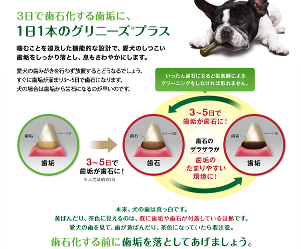 グリニーズプラス　カロリーケア 超小型犬用（体重2～7kg）