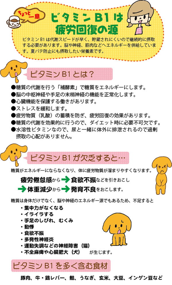 ちょっと一息「ビタミンB1は疲労回復の源」