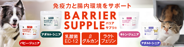 �o���A�T�v��