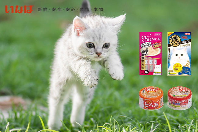 いなば