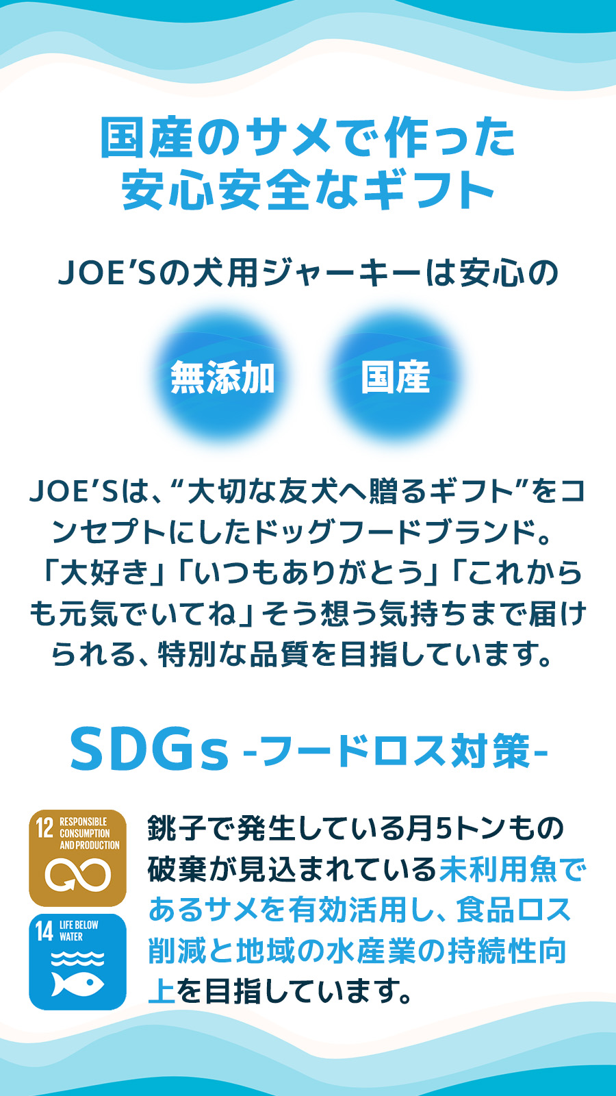 JOE’S メジロザメのジャーキー