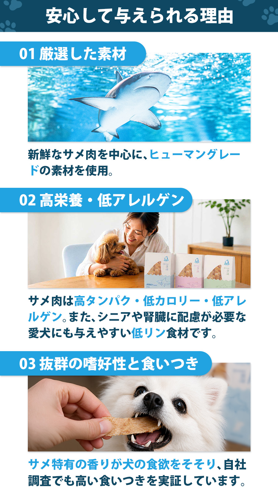 JOE’S メジロザメのジャーキー