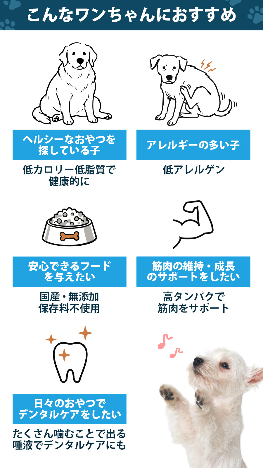 JOE’S メジロザメのジャーキー