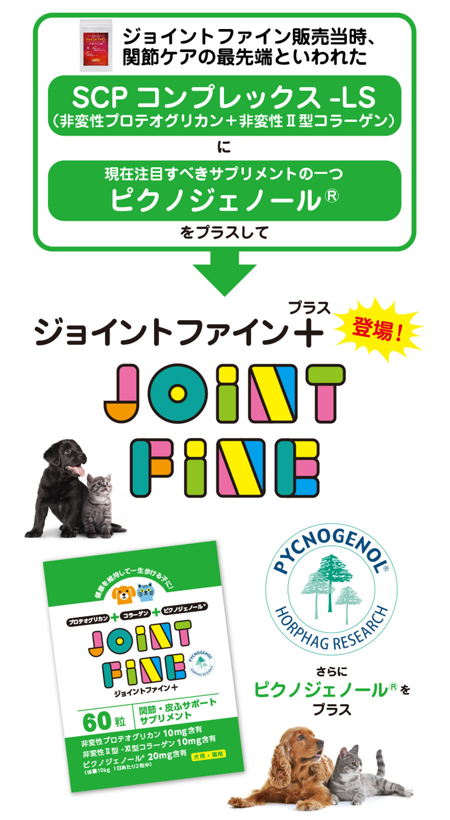 ジョイントファイン販売当時、関節ケアの最先端といわれた SCPコンプレックス-LS（非変性プロテオグリカン＋非変性Ⅱ型コラーゲン）に現在注目すべきサプリメントの一つピクノジェノール®をプラスしてジョイントファイン＋プラスが登場