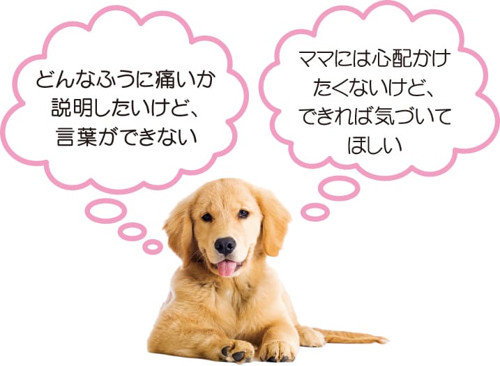 どんなふうに痛いか説明したいけど、言葉ができないママには心配かけたくないけど、できれば気づいてほしい