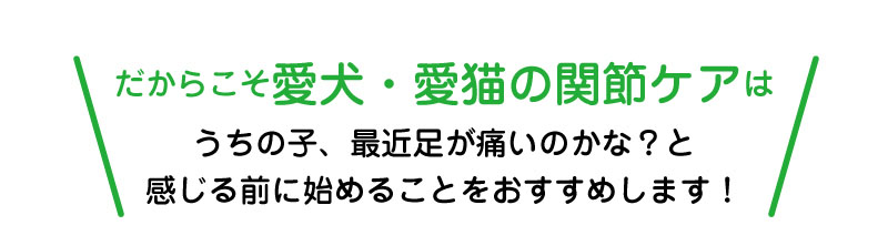 だからこそ愛犬・愛猫の関節ケアはうちの子、最近足が痛いのかな？と感じる前に始めることをおすすめします！