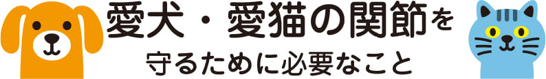 愛犬・愛猫の完成を守るために必要なこと