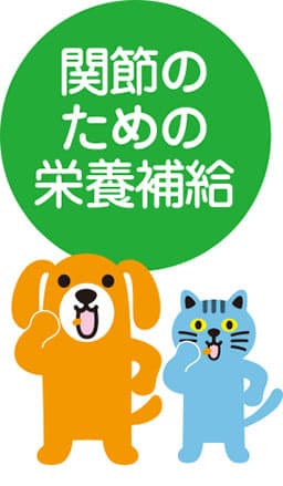 関節のための栄養補給