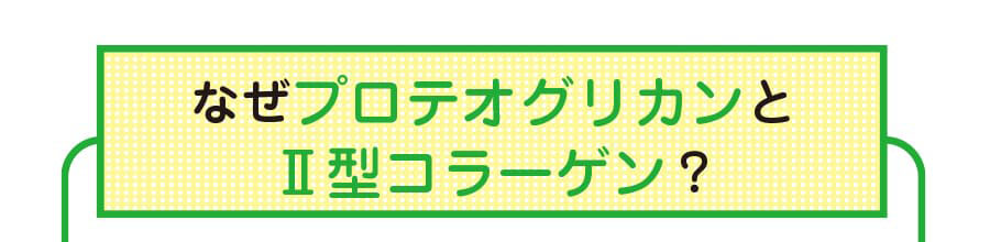 なぜプロテオグリカンと?型コラーゲン