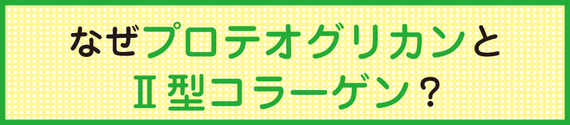 なぜプロテオグリカンとⅡ型コラーゲン