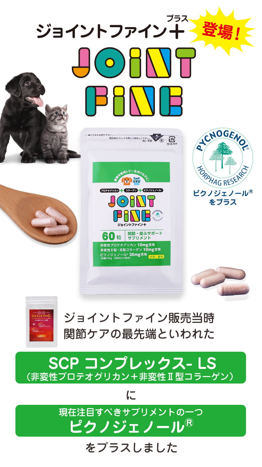 ジョイントファイン販売当時、関節ケアの最先端といわれた SCPコンプレックス-LS（非変性プロテオグリカン＋非変性?型コラーゲン）に現在注目すべきサプリメントの一つピクノジェノール®をプラスしてジョイントファイン＋プラスが登場