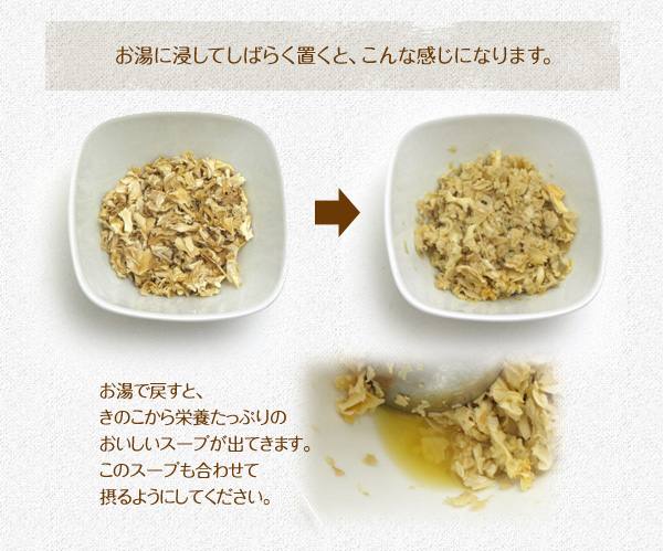 犬好生活 がんこおやじのきのこ園 ハナビラタケ 乾きのこ ドッグパラダイス