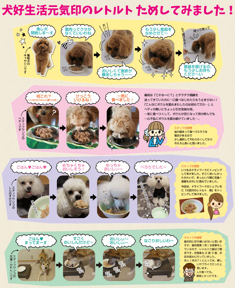犬好生活「元気印のレトルト」