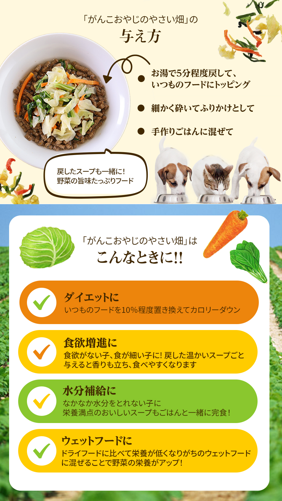 キャベツミックス