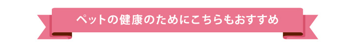 がんこおやじのおやつ亭 おさかな屋さん