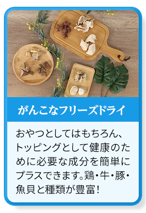 がんこなフリーズドライはこちら