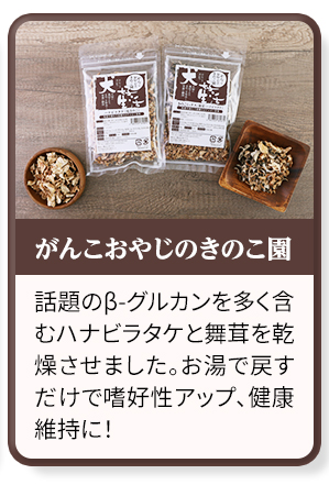 がんこおやじのきのこ園