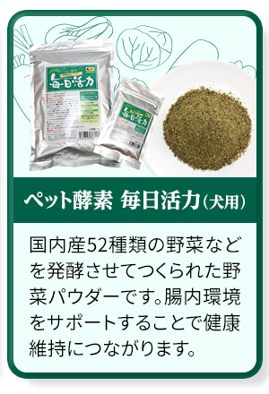 毎日活力