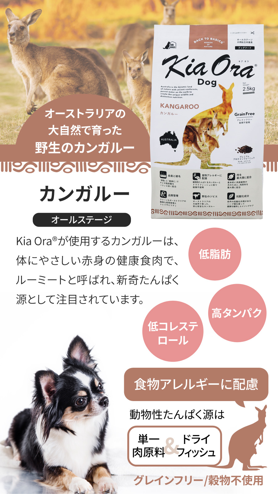 KiaOra DOG カンガルー