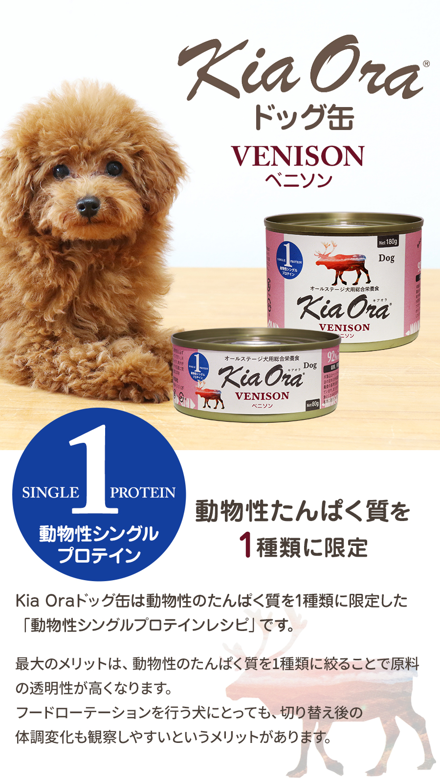 キアオラ ドッグ缶