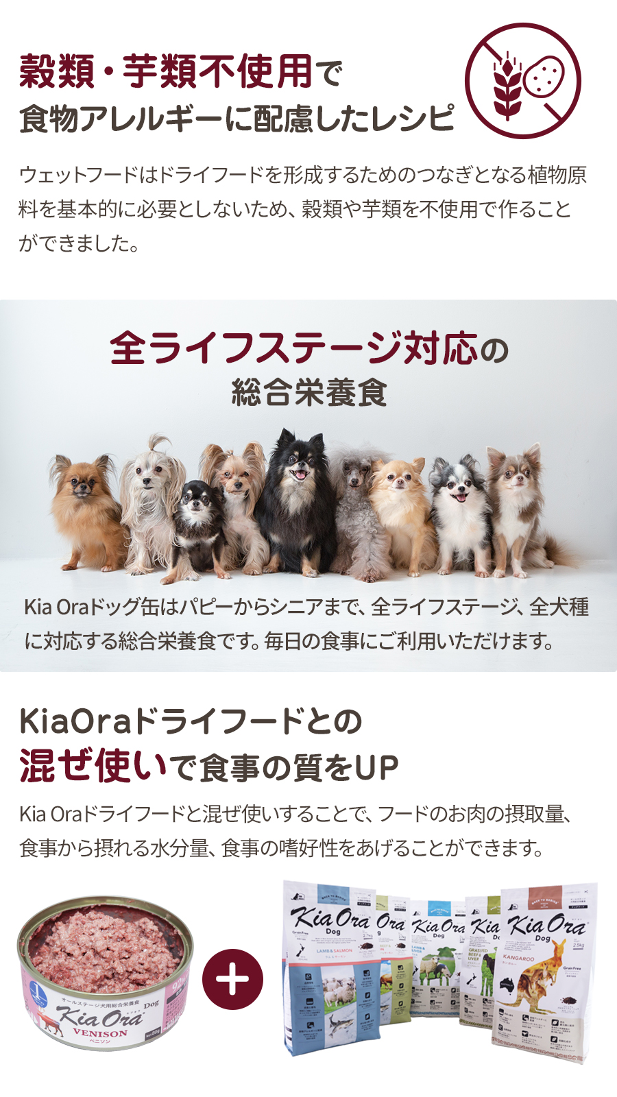 キアオラ ドッグ缶