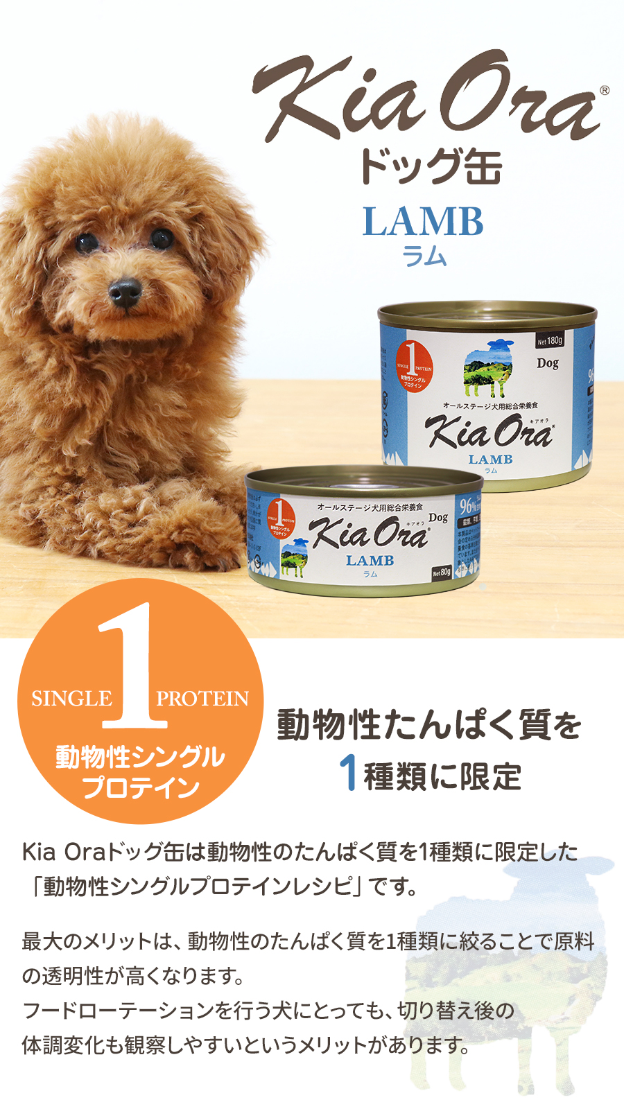 キアオラ ドッグ缶