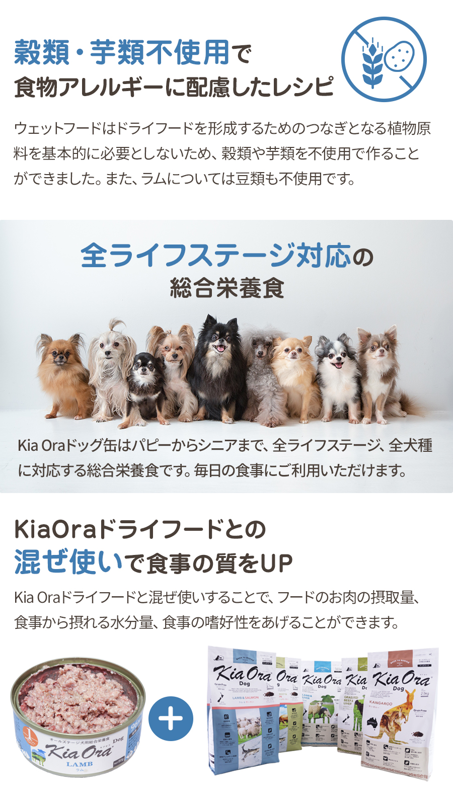 キアオラ ドッグ缶