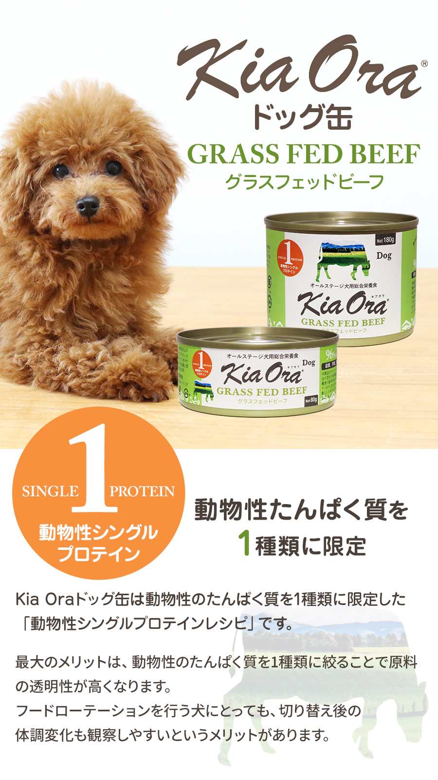 キアオラ ドッグ缶