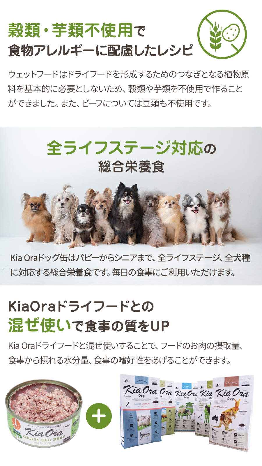 キアオラ ドッグ缶