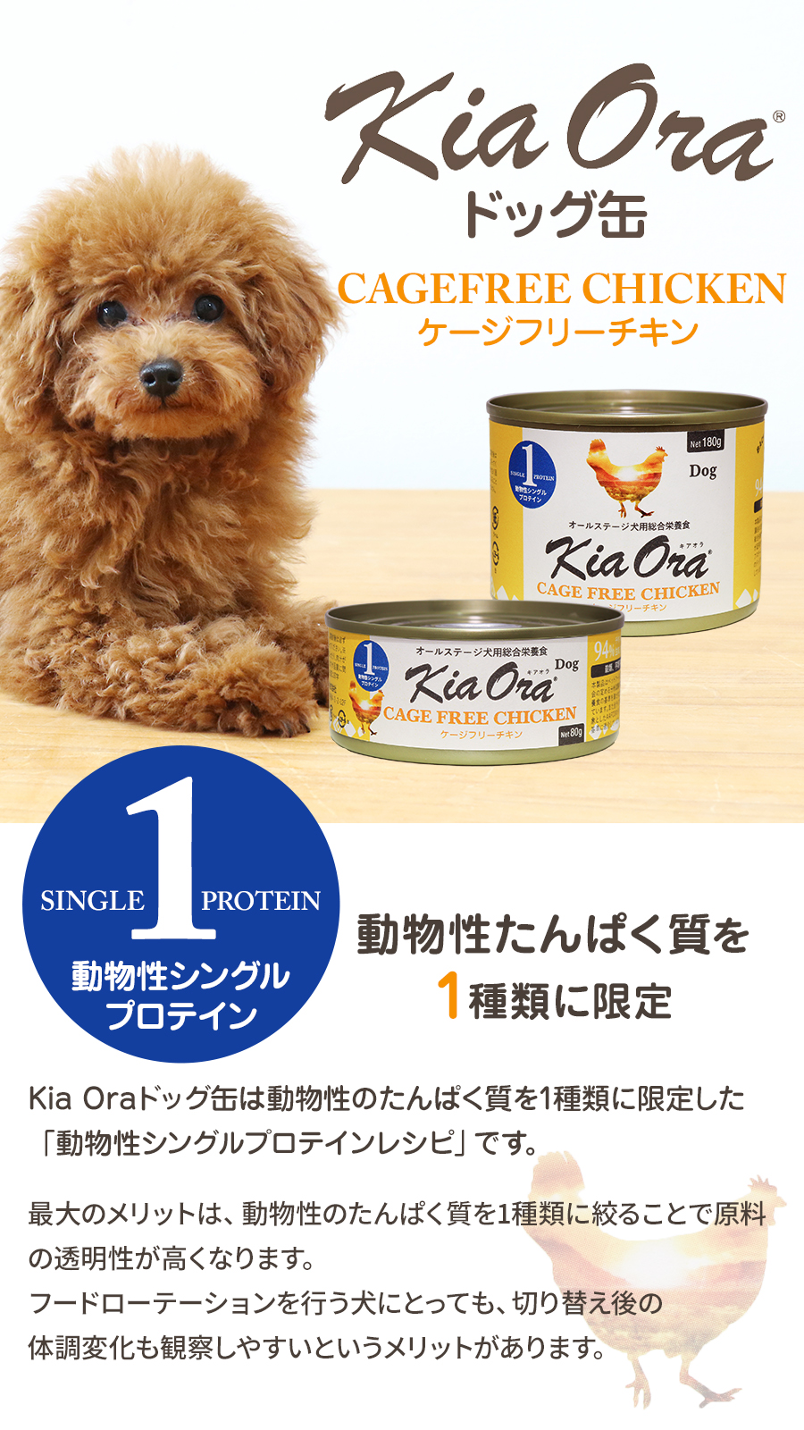 キアオラ ドッグ缶